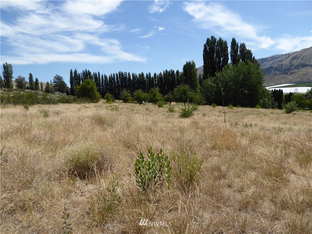 429 Stayman Flats Road Chelan, WA 98816 - Photo 19 of 23 Gallery Image 19