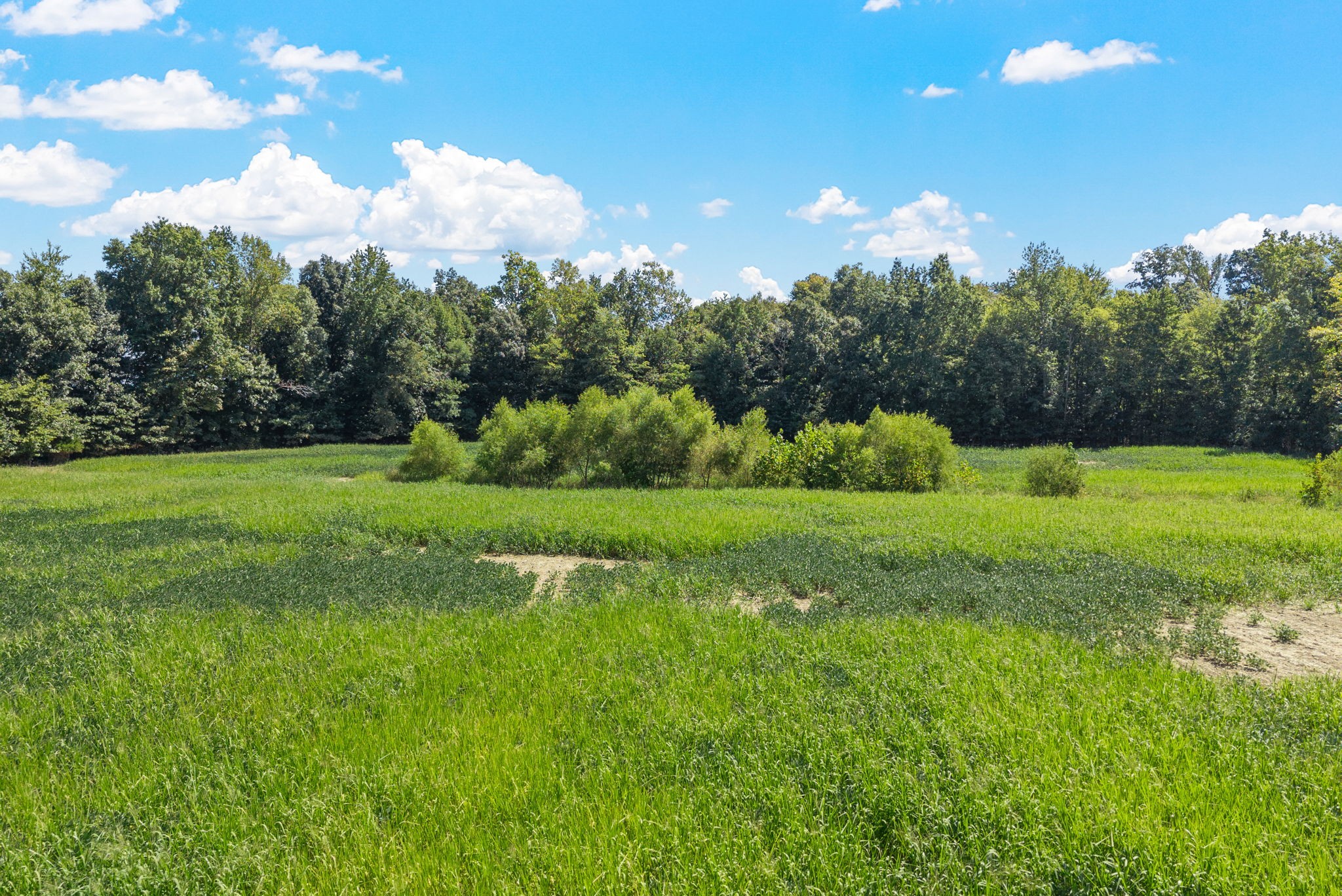 8127 Pleasant Hill Road Cross Plains, TN 37049 - Photo 11 of 24 a view of a golf course with a lake