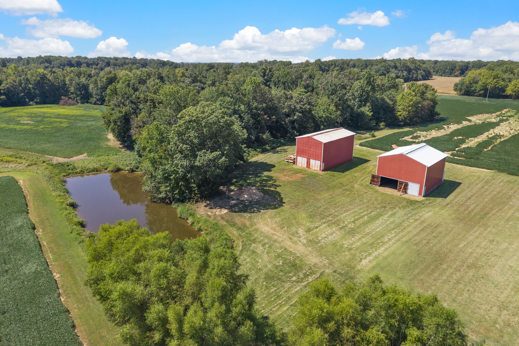 8127 Pleasant Hill Road Cross Plains, TN 37049 - Photo 13 of 24 a view of a yard with front of lake