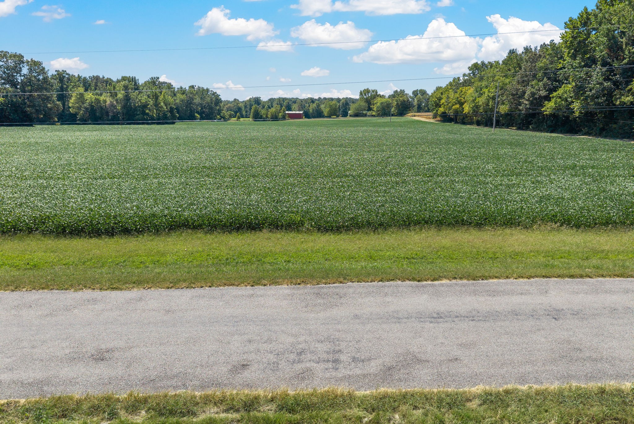 8127 Pleasant Hill Road Cross Plains, TN 37049 - Photo 17 of 24 a view of a golf course with a lake
