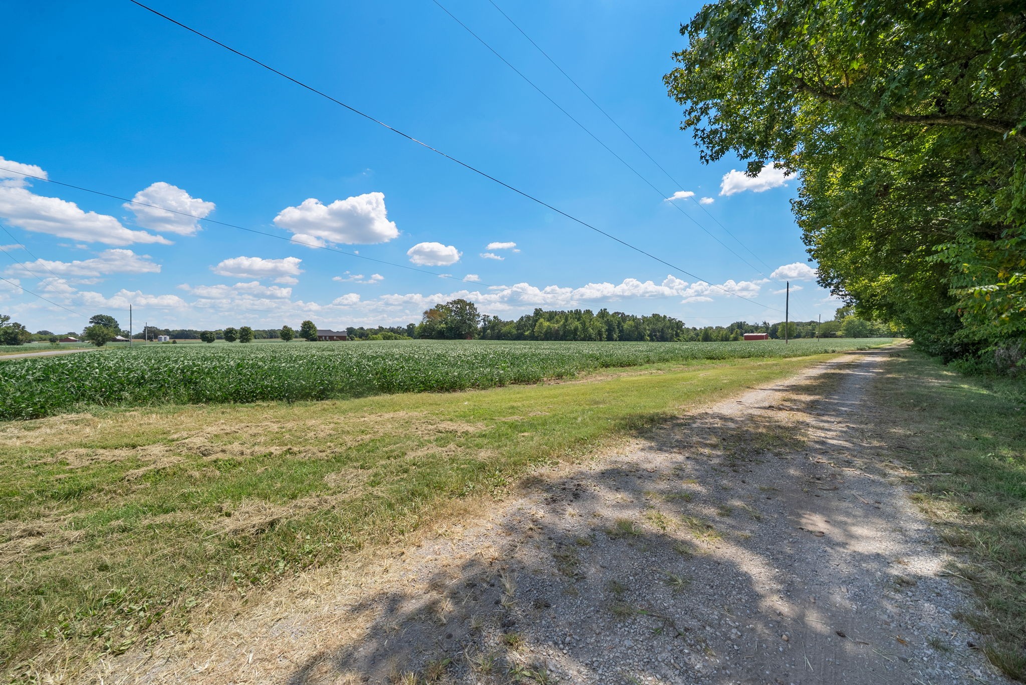 8127 Pleasant Hill Road Cross Plains, TN 37049 - Photo 22 of 24 a view of outdoor space with city view