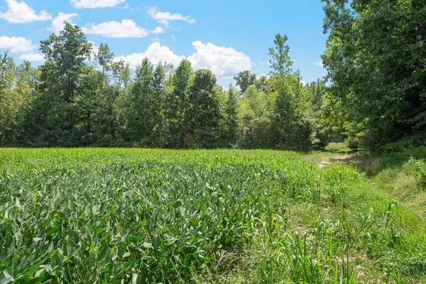 $1,575,000 | 8127 Pleasant Hill Road, Cross Plains, TN 37049