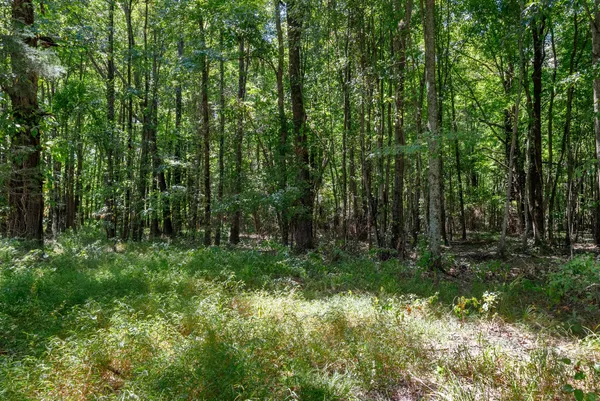 $1,575,000 | 8127 Pleasant Hill Road, Cross Plains, TN 37049