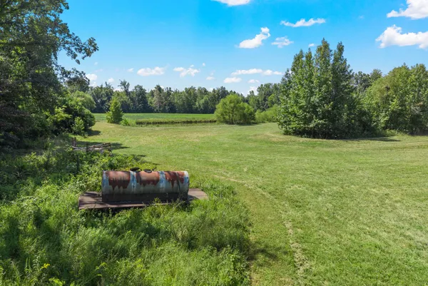 a big yard with lots of green space