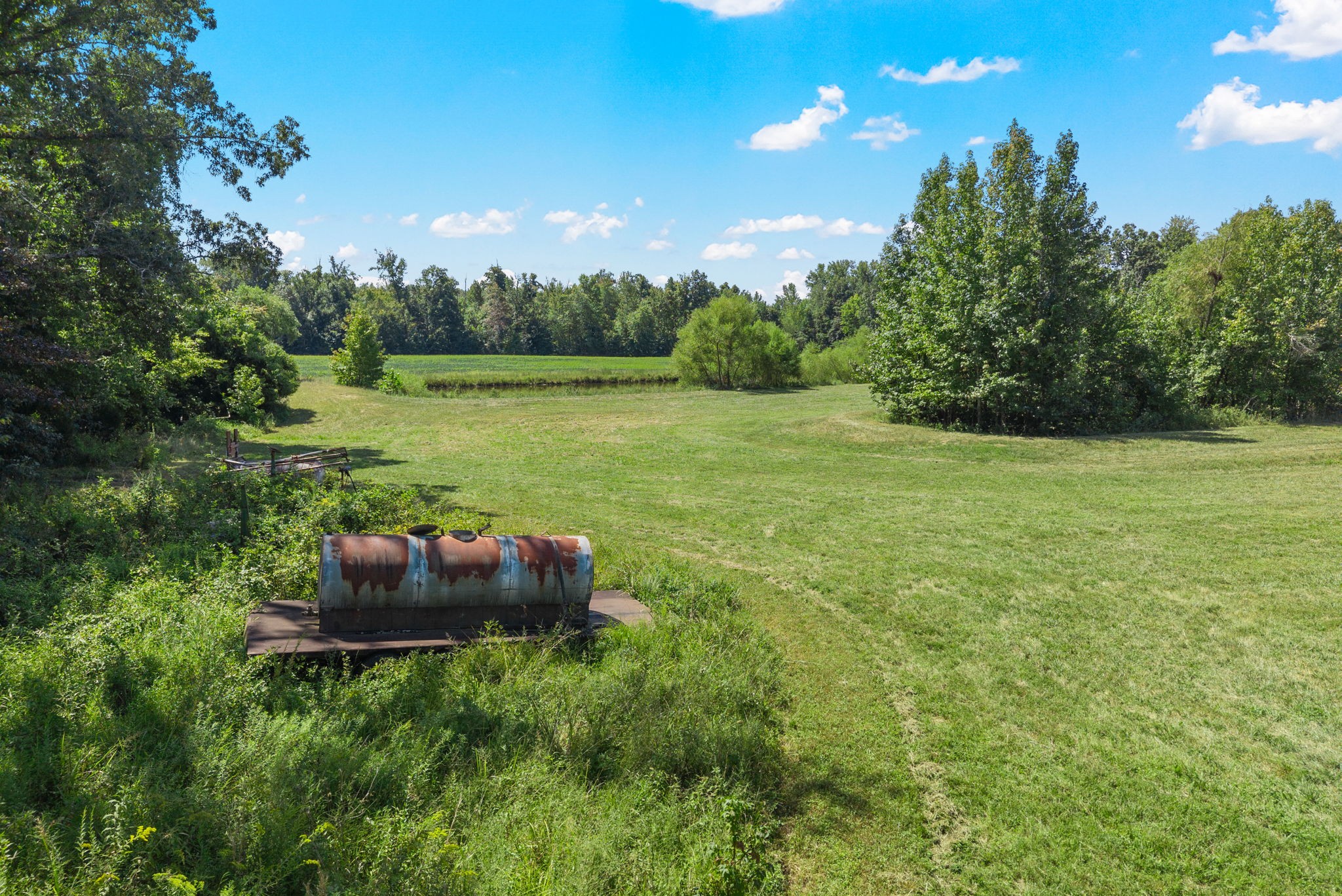 8127 Pleasant Hill Road Cross Plains, TN 37049 - Photo 5 of 24 a big yard with lots of green space
