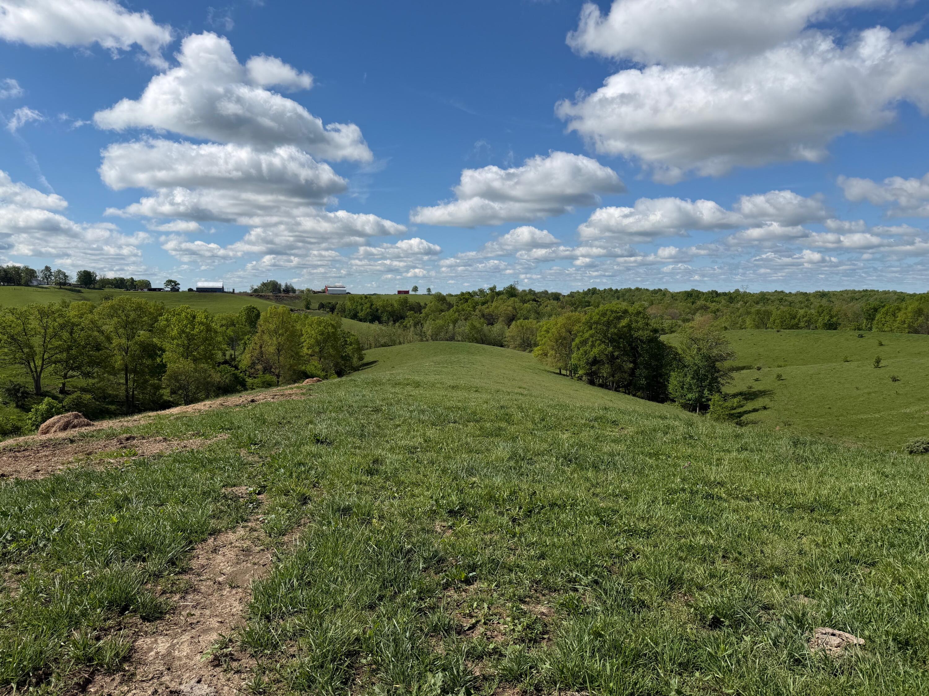 20.99-ac Chipman Ridge Road Williamstown, KY 41097 - Photo 14 of 21