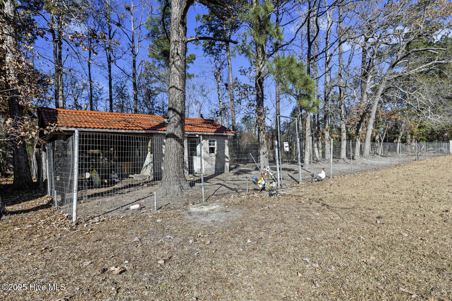 5976 Gum Branch Road Jacksonville, NC 28546 - Photo 83 of 96 custom built chicken coop/storage building.