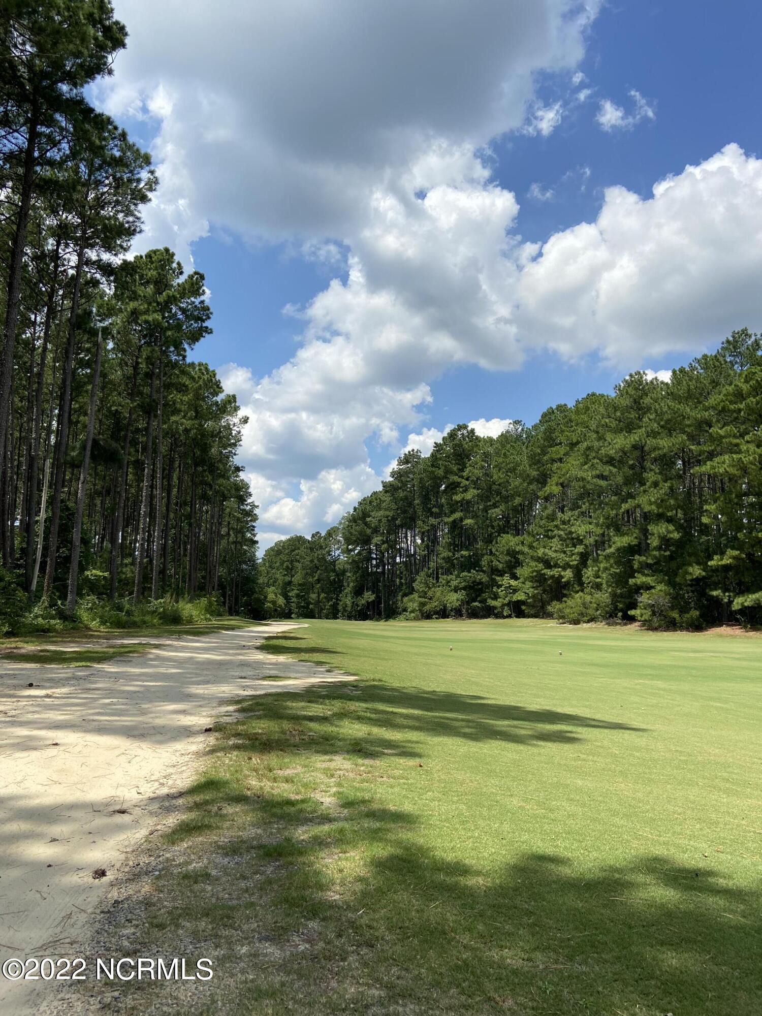 5 Rabbit Run Court Wagram, NC 28396 - Photo 3 of 14 fairway #4