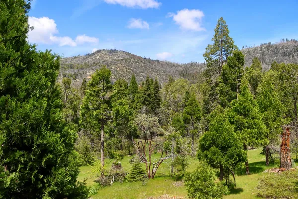$469,000 | 60027 Cascadel Drive North, North Fork, CA 93643