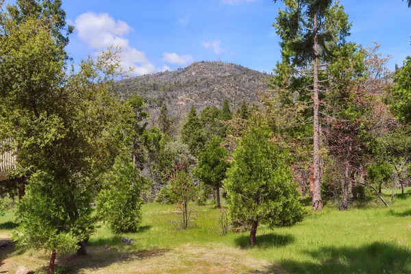 $469,000 | 60027 Cascadel Drive North, North Fork, CA 93643