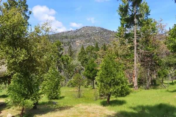 $469,000 | 60027 Cascadel Drive North, North Fork, CA 93643