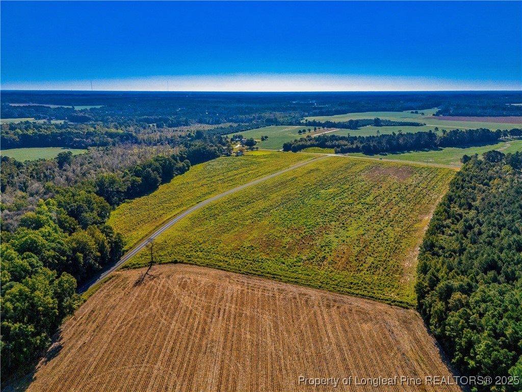 Lot 18 Daniel McLeod Road Red Springs, NC 28377 - Photo 4 of 5 a view of an ocean from a balcony