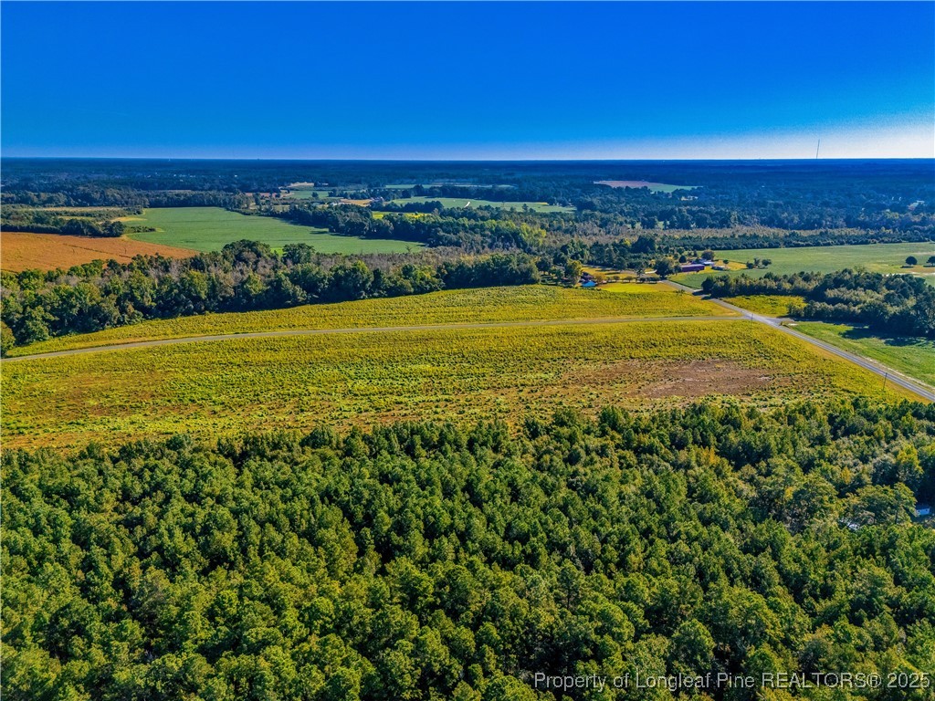 Lot 18 Daniel McLeod Road Red Springs, NC 28377 - Photo 5 of 5 a view of an ocean and city