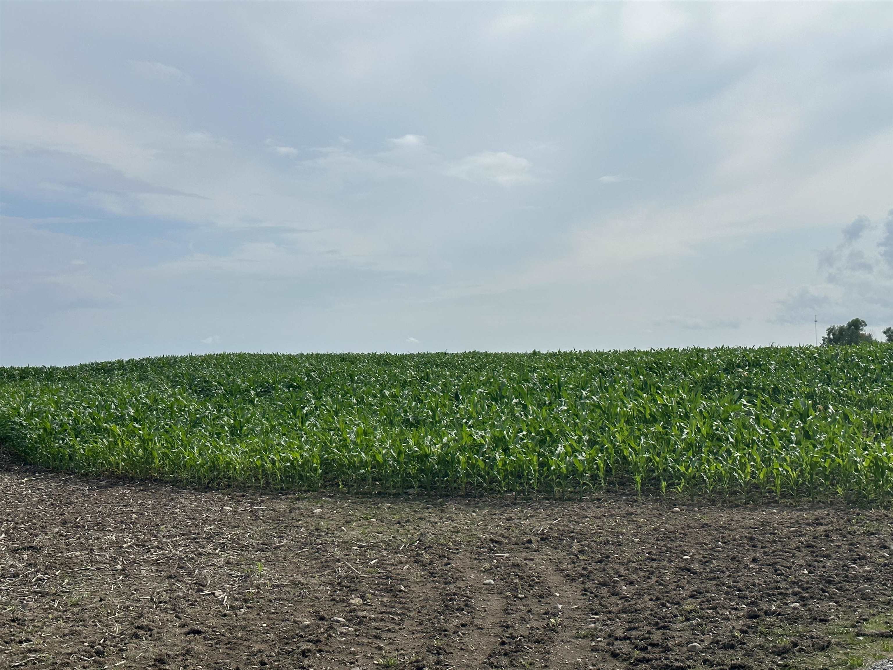 19 Mile Road Marion, MI 49665 - Photo 9 of 9