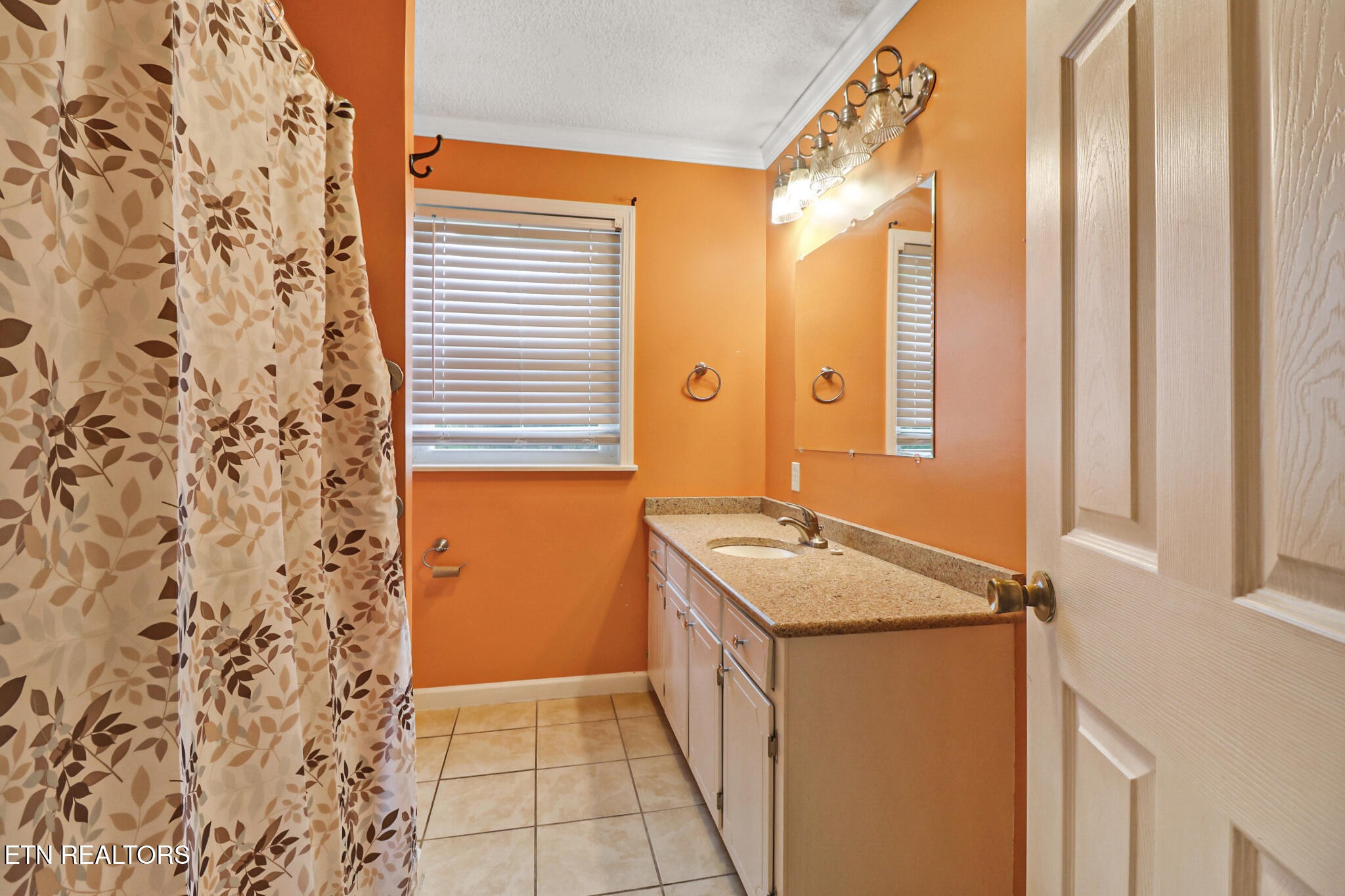 148 Porter Lane Spring City, TN 37381 - Photo 18 of 55 a bathroom with a granite countertop sink and a mirror