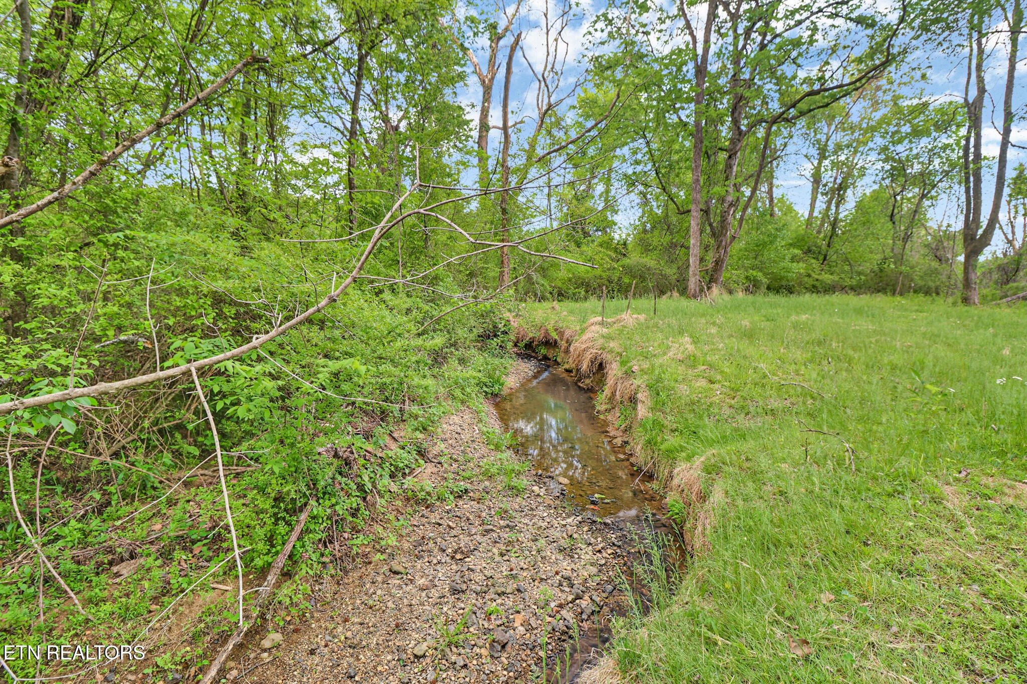 148 Porter Lane Spring City, TN 37381 - Photo 29 of 55 a backyard of a house with lots of plants and trees