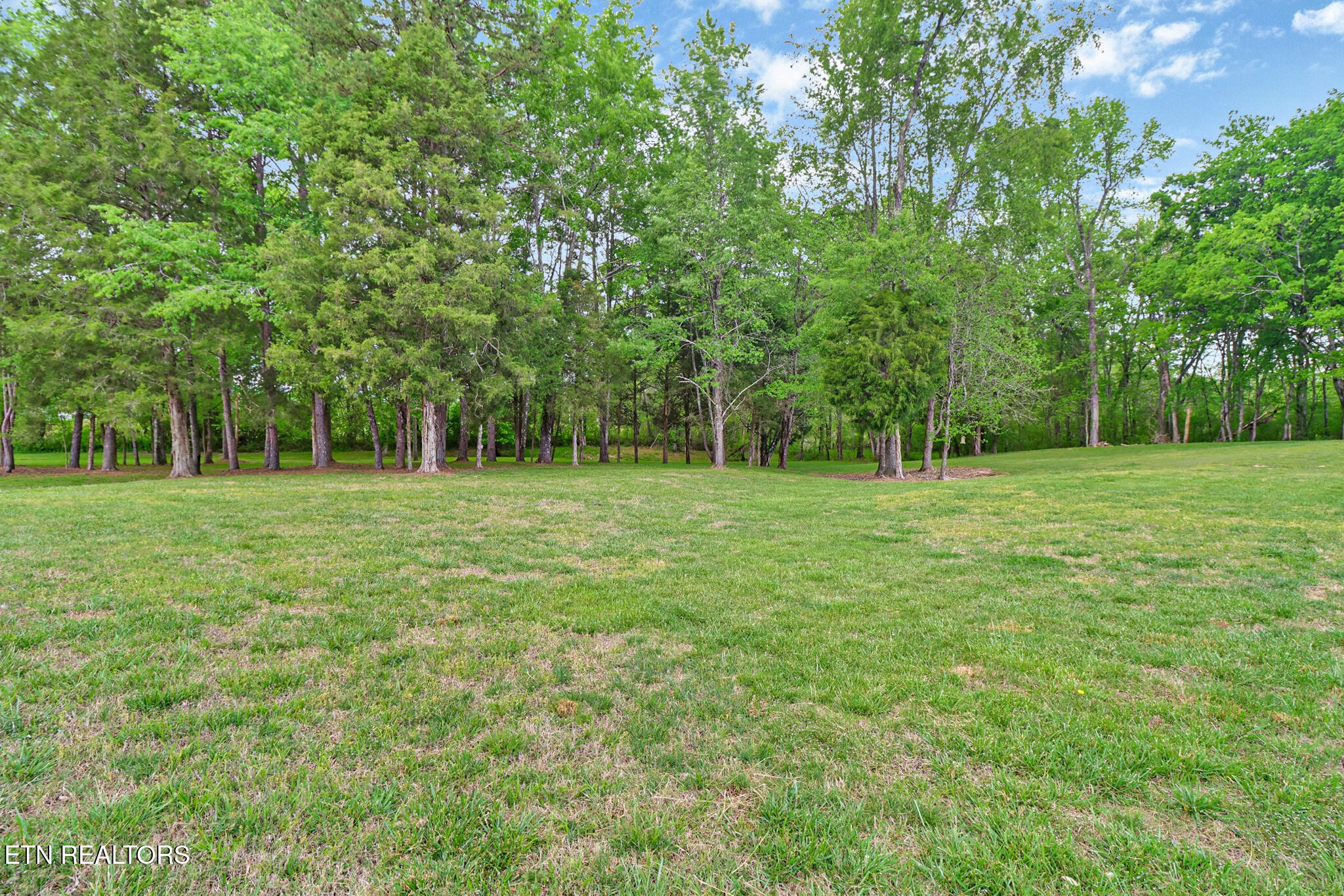 148 Porter Lane Spring City, TN 37381 - Photo 31 of 55 a grassy field with trees in the background