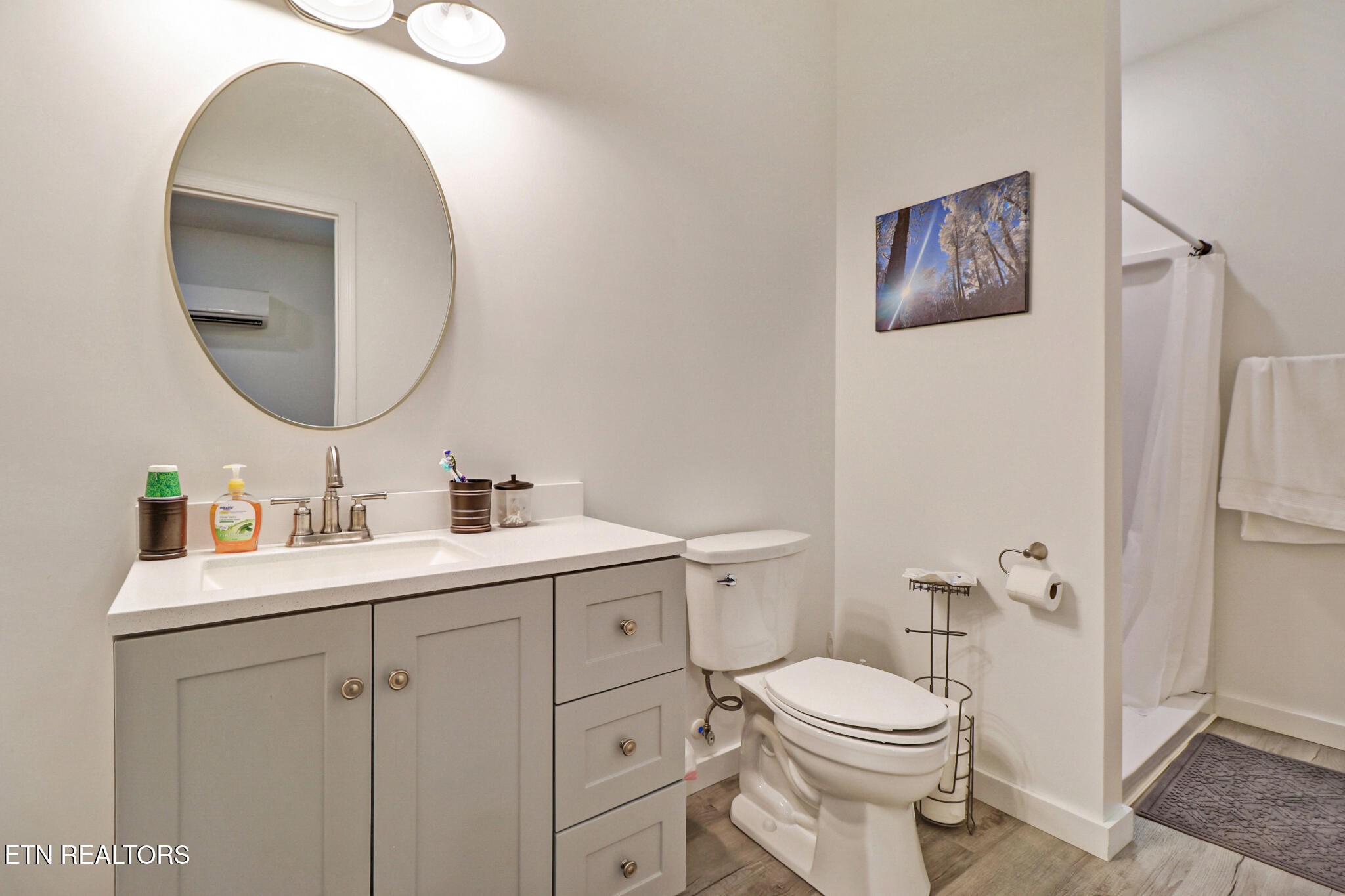 148 Porter Lane Spring City, TN 37381 - Photo 44 of 55 a bathroom with a toilet sink vanity and mirror