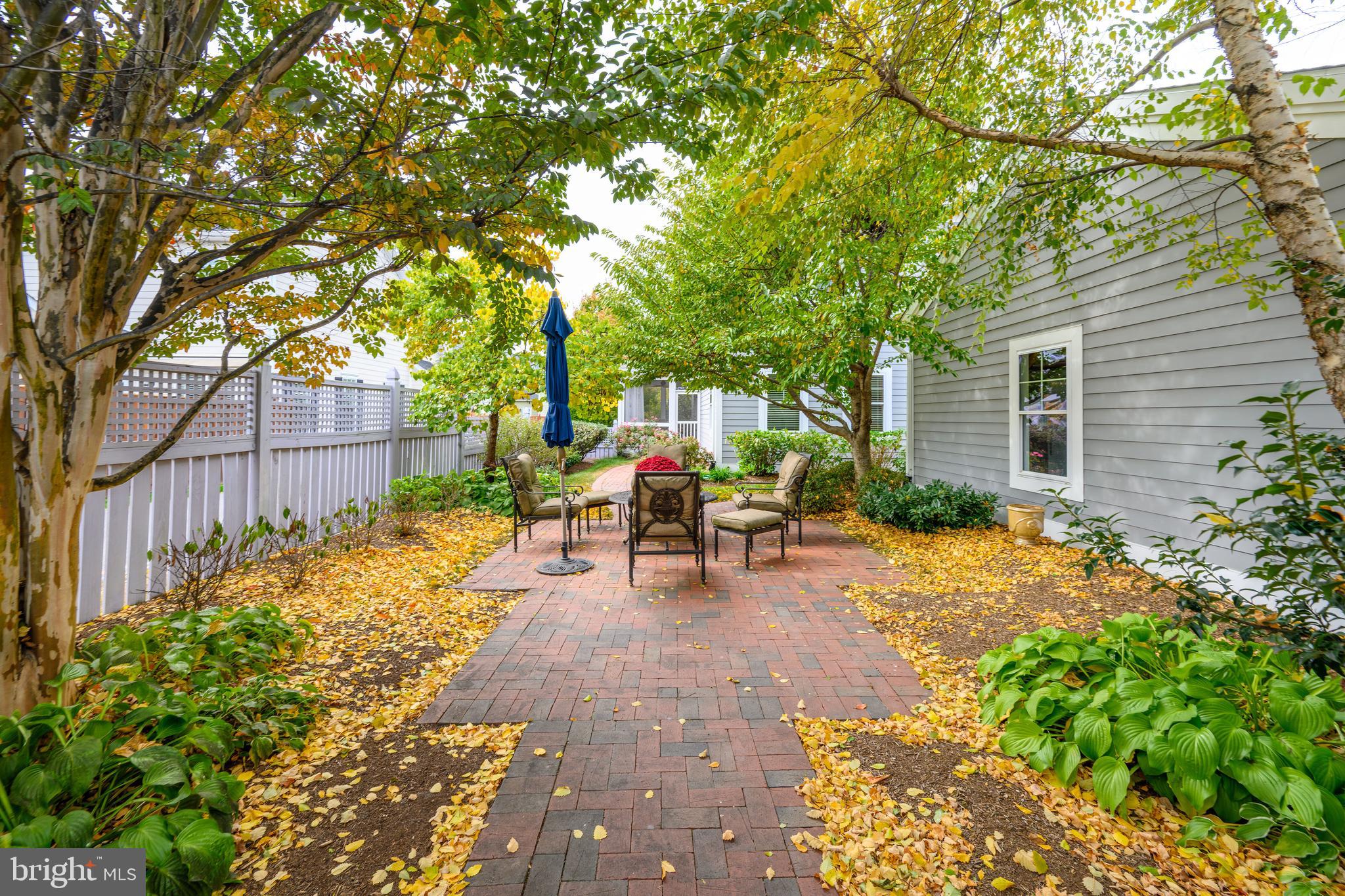 202 Mchenny Court Chester, MD 21619 - Photo 22 of 52 Back yard