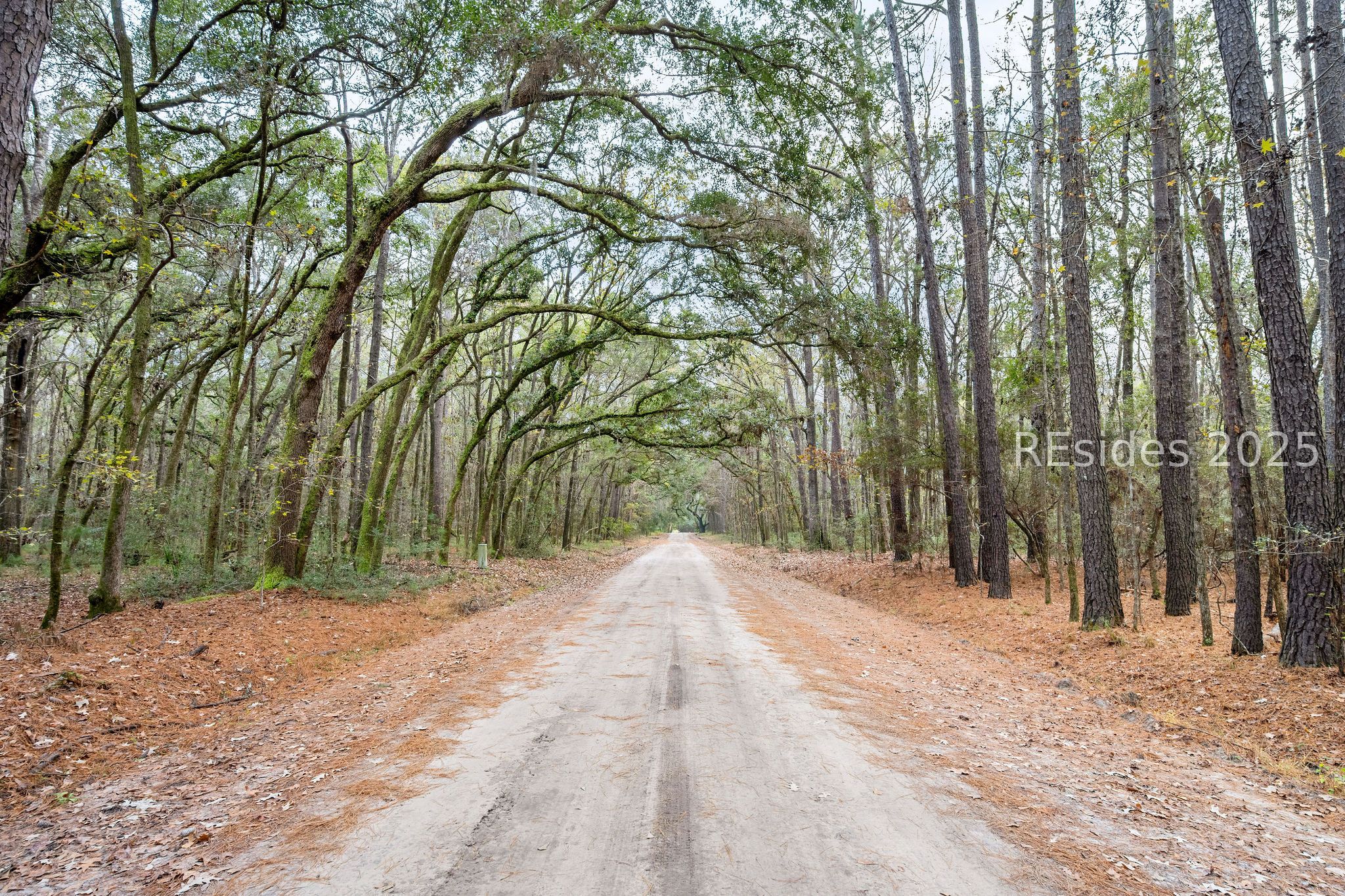 76 Priester Road Seabrook, SC 29940 - Photo 35 of 38