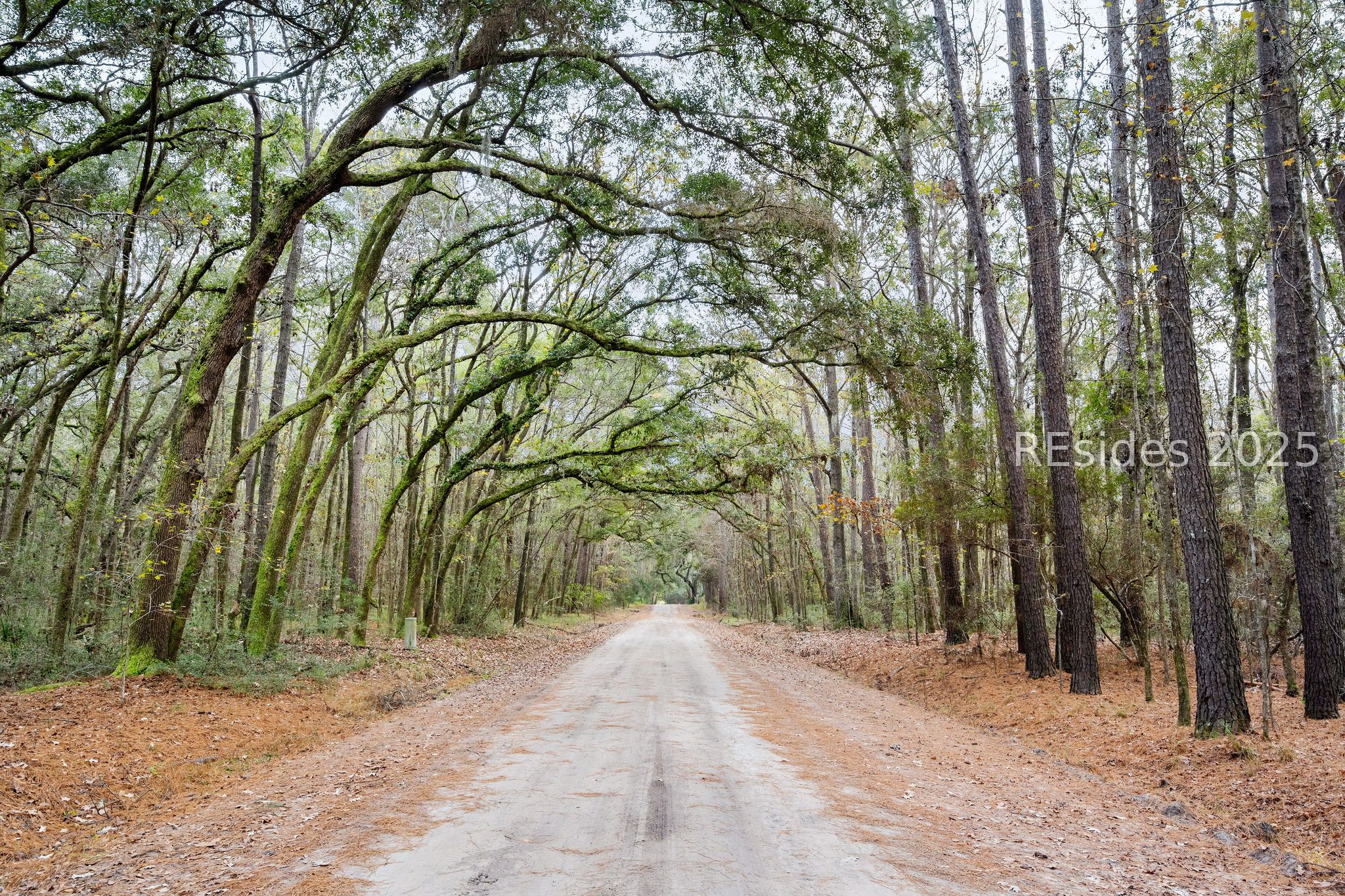 76 Priester Road Seabrook, SC 29940 - Photo 6 of 38