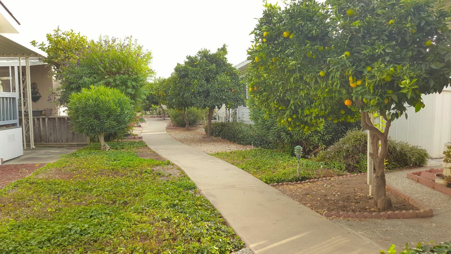 5450 Monterey Road, Unit 142 San Jose, CA 95111 - Photo 10 of 13 a pathway of a yard