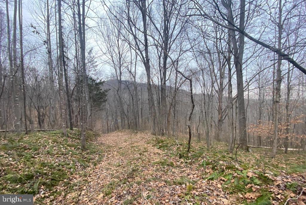 0 Turkey Ridge Road Castleton, VA 22716 - Photo 10 of 13 Gallery Image 10
