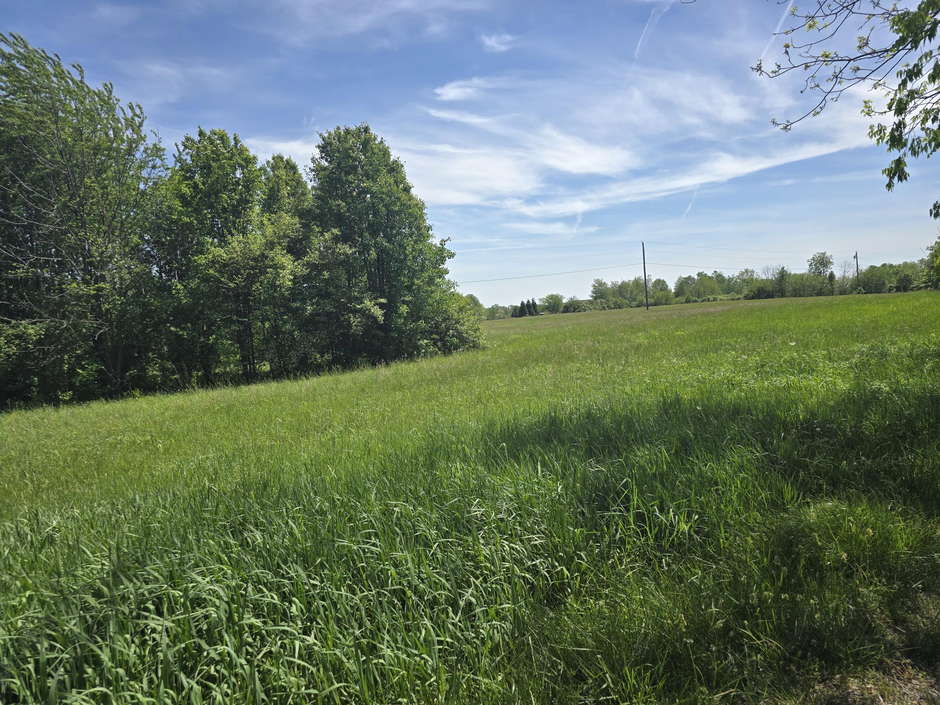 6655 Delaney Ferry Road Versailles, KY 40383 - Photo 1 of 10 Portion of the 30.96 acres