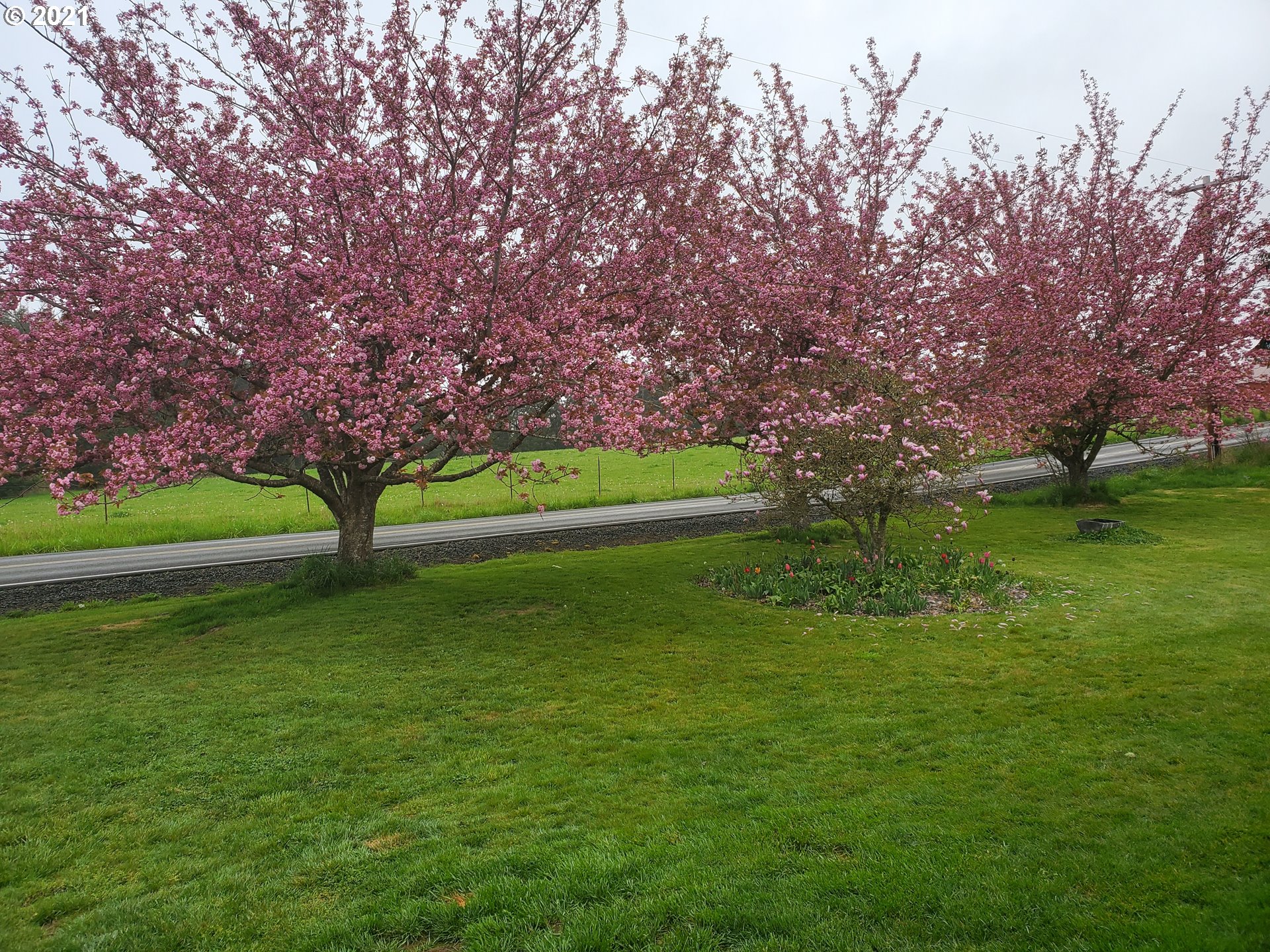 314 Yates Road Chehalis, WA 98532 - Photo 26 of 30 a view of a park