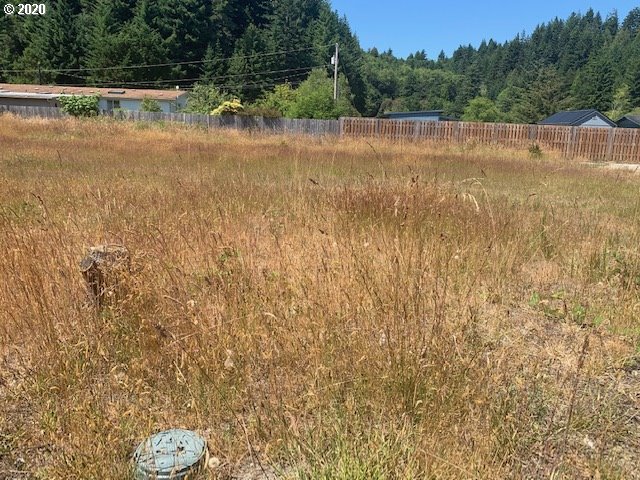 950 Cedar Loop Lakeside, OR 97449 - Photo 4 of 4 Gallery Image 4