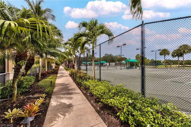 a view of a park that has a tree on the side of it