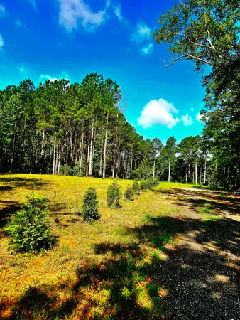 $249,990 | 1652 Ashland Road, McBee, SC 29101