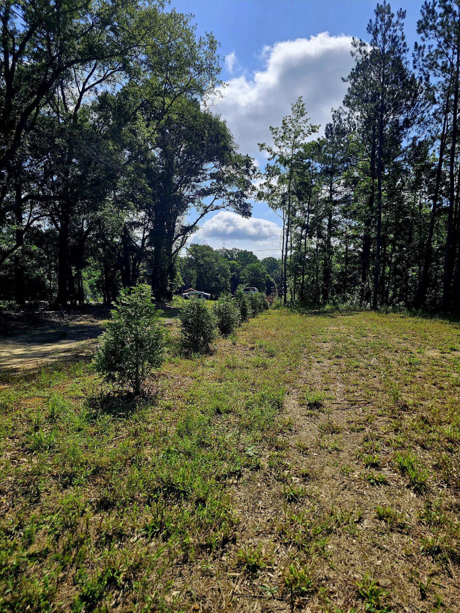 1652 Ashland Road McBee, SC 29101 - Photo 11 of 28 Private lot