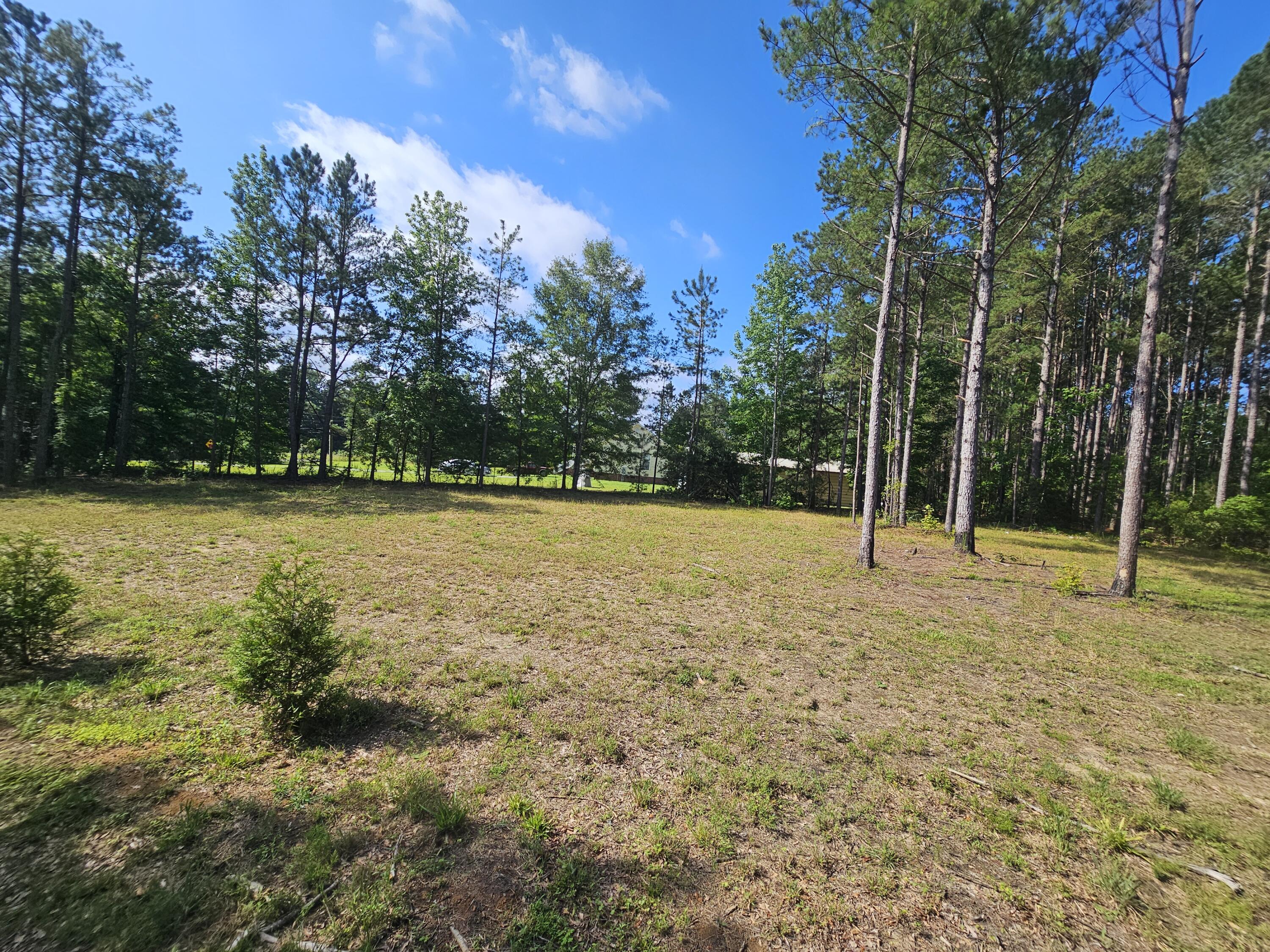 1652 Ashland Road McBee, SC 29101 - Photo 11 of 25 2 acre lot