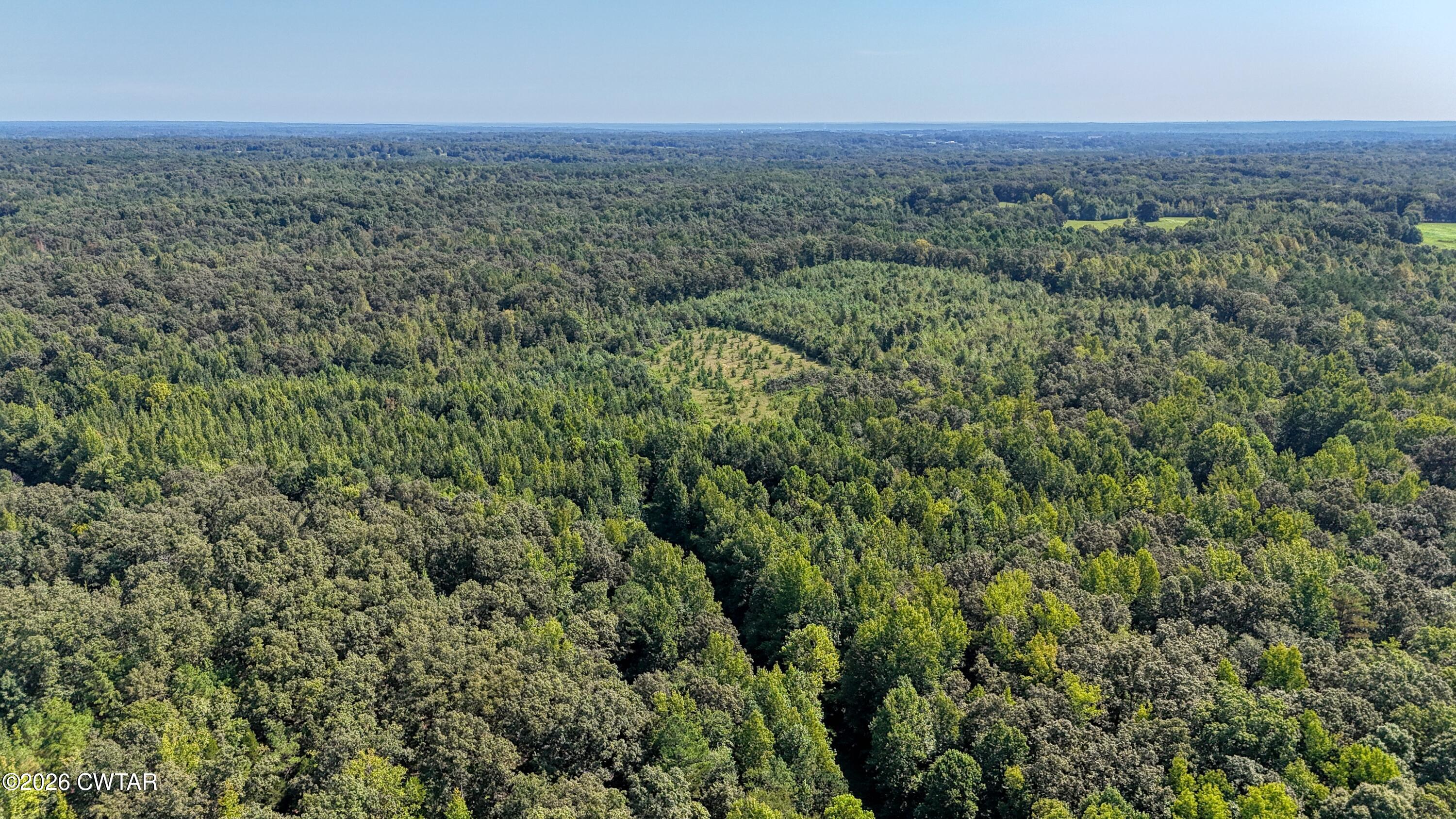 4349 Buena Vista Road Huntingdon, TN 38344 - Photo 43 of 68 DJI_20260825105828_0191_D