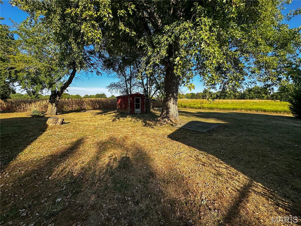 441 South Pine Street Irving, IL 62051 - Photo 15 of 19