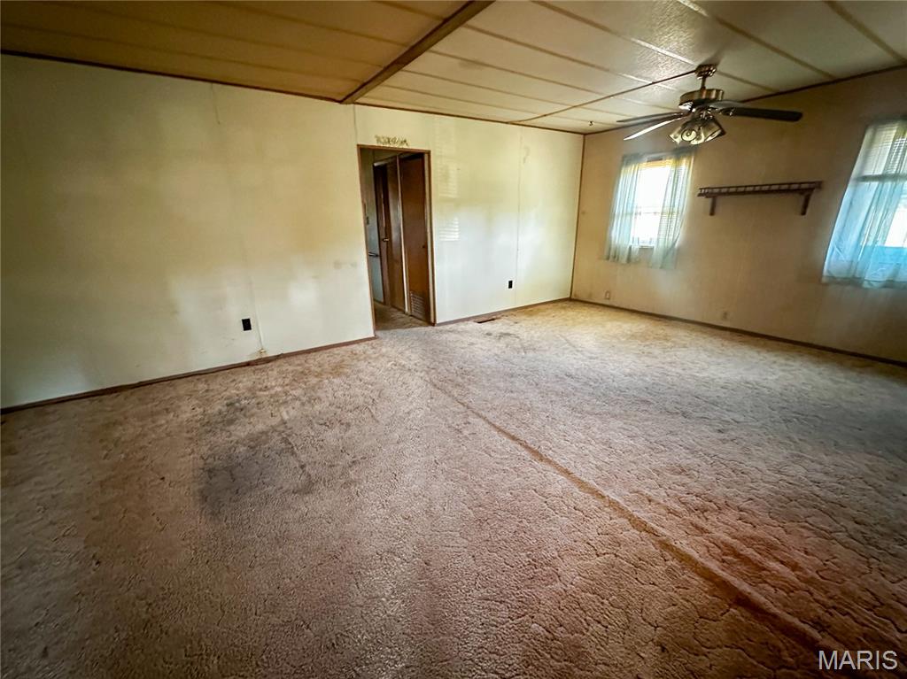 441 South Pine Street Irving, IL 62051 - Photo 5 of 19