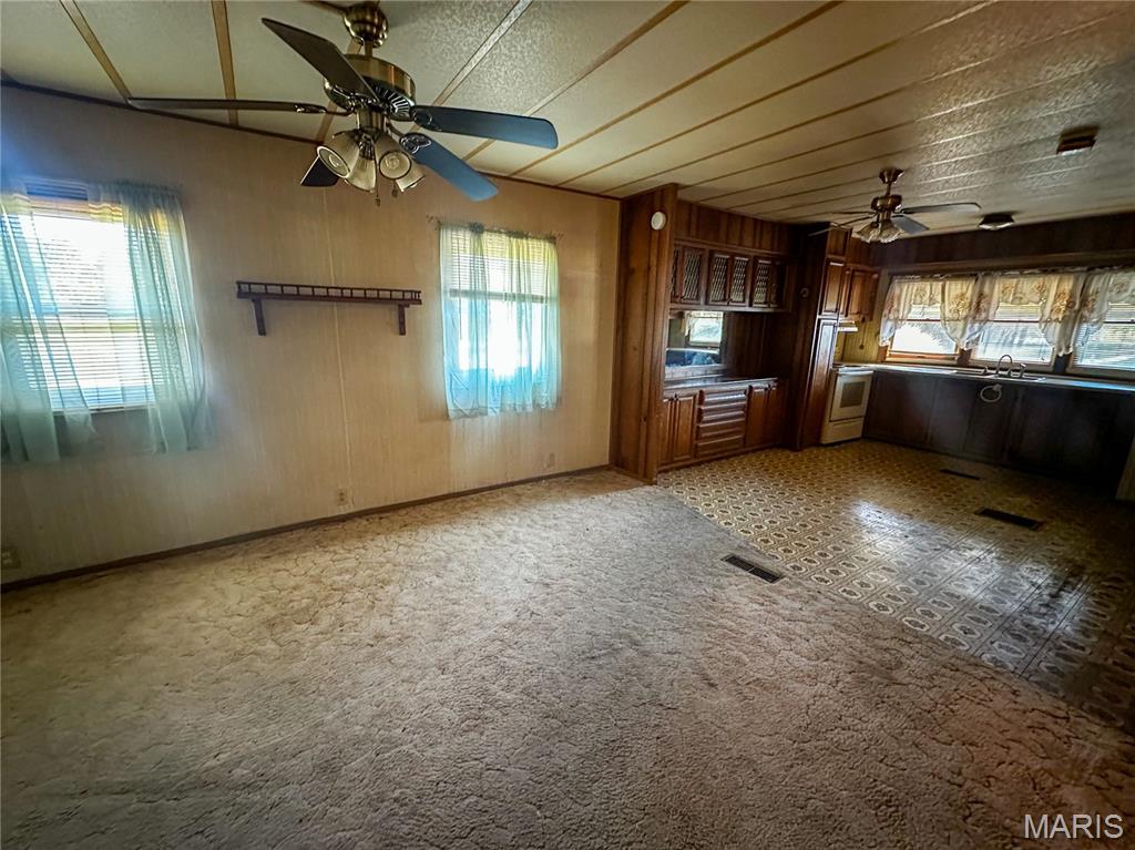 441 South Pine Street Irving, IL 62051 - Photo 6 of 19