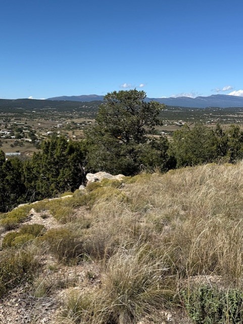 0 Edgewood Edgewood, NM 87015 - Photo 3 of 4