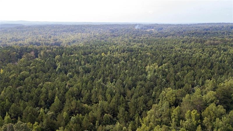 0 Cartersville Road, Unit 114 ACRES Dallas, GA 30132 - Photo 1 of 1 Gallery Image 1
