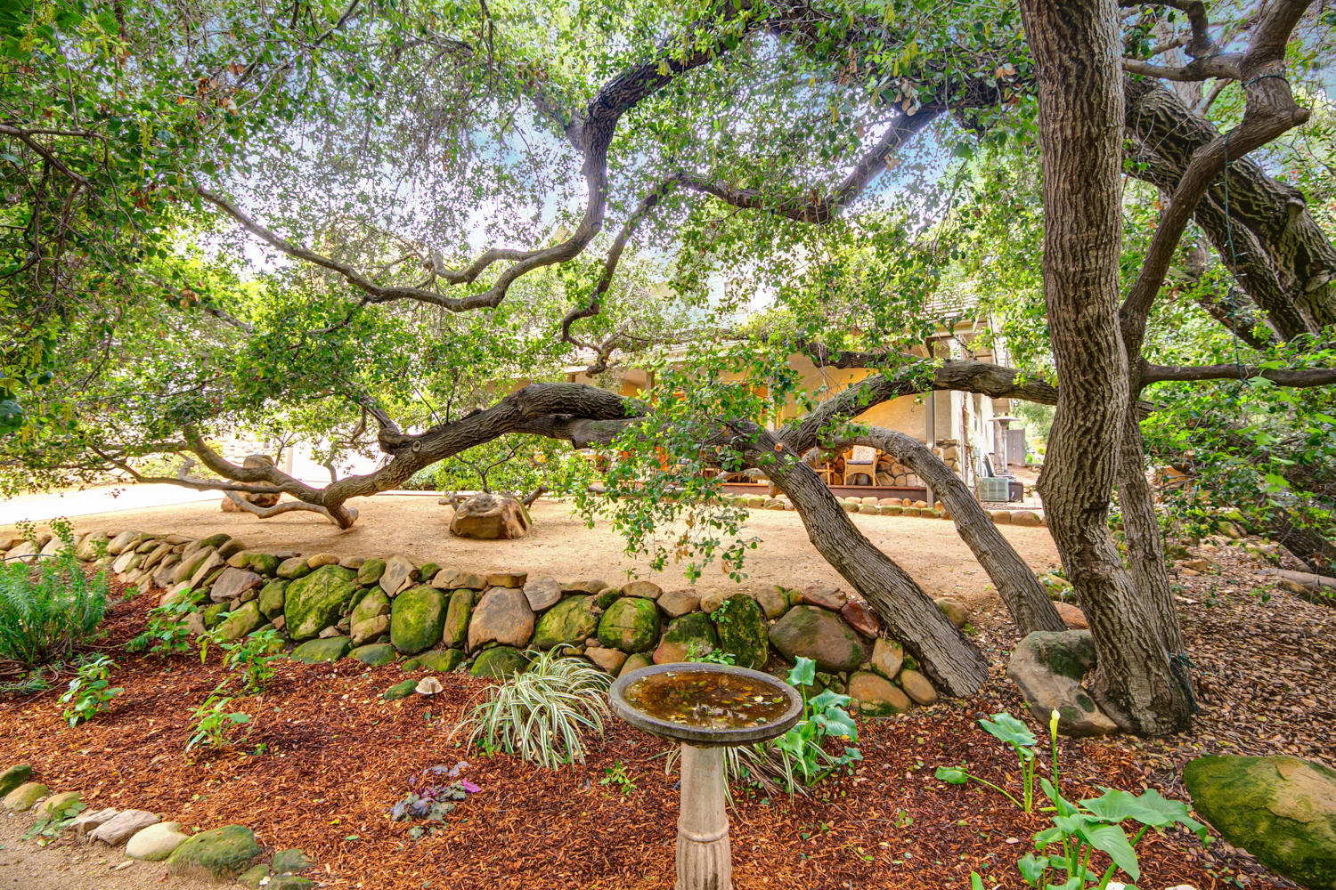 179 Baldwin Road Ojai, CA 93023 - Photo 30 of 39 a yard with a tree
