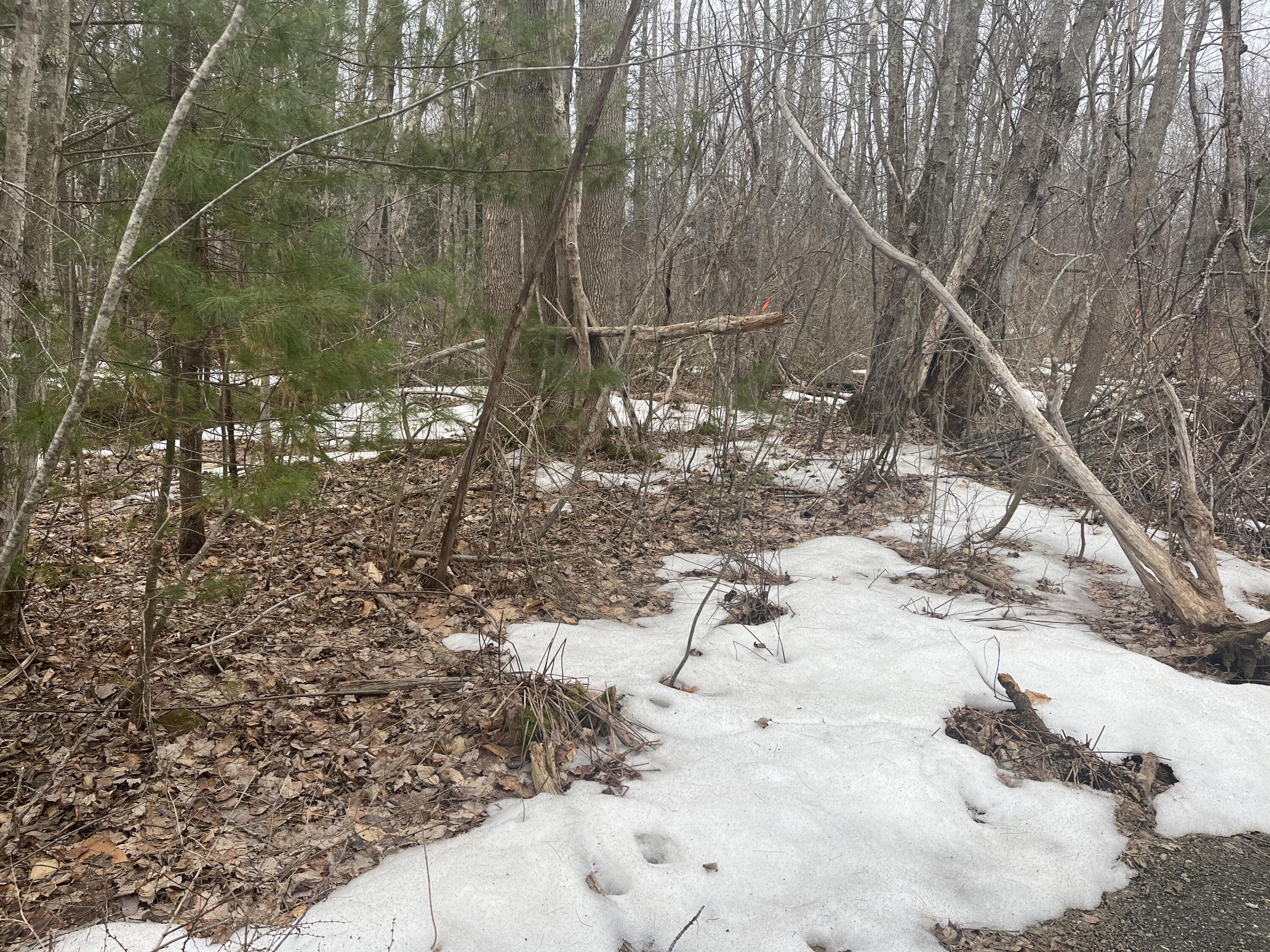 Map16-lot4 Marsh Road Belfast, ME 04915 - Photo 2 of 4 IMG_9969