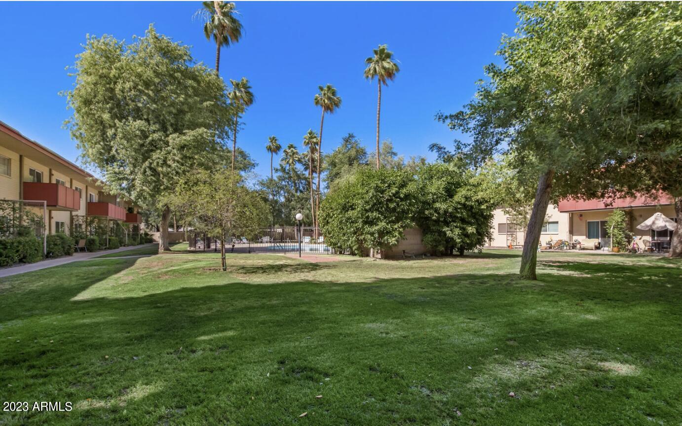 349 East Thomas Road, Unit E104 Phoenix, AZ 85012 - Photo 23 of 23 Grassy Area