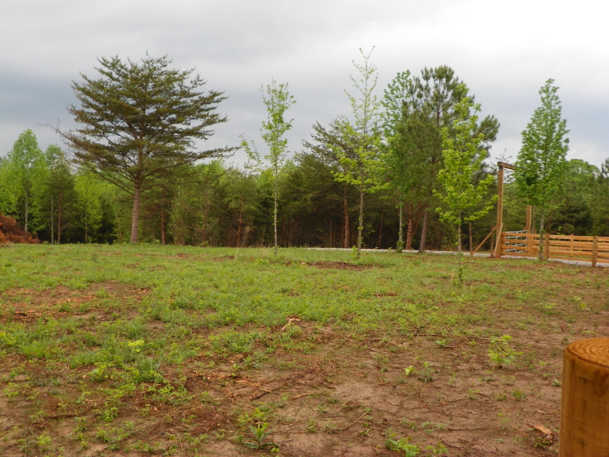 0 Dave England Road Sparta, TN 38583 - Photo 2 of 2 Gallery Image 2