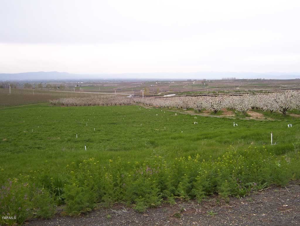 Nna Bailey Road Zillah, WA 98953 - Photo 3 of 8 a view of an ocean with a city view