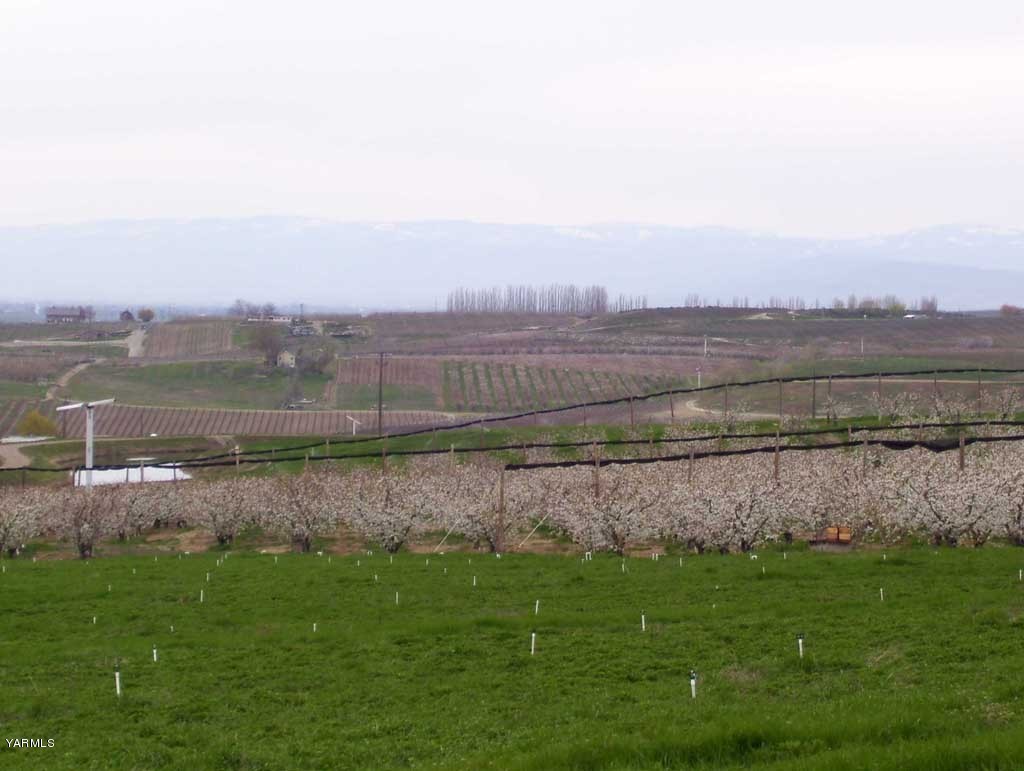 Nna Bailey Road Zillah, WA 98953 - Photo 5 of 8 a view of a lake with a city view