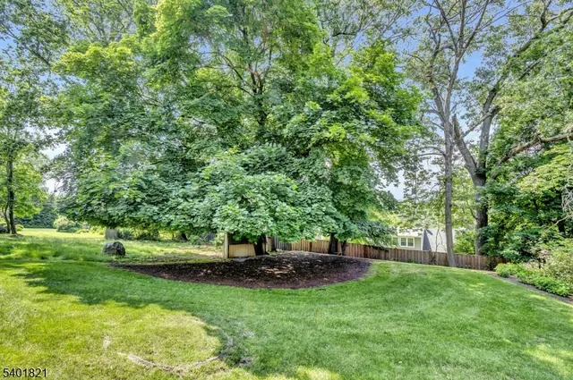 a view of park with trees