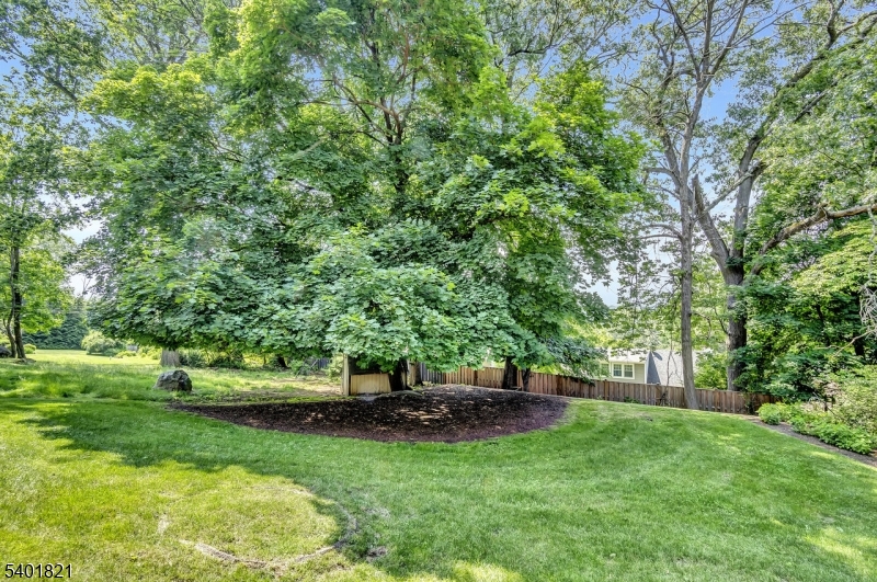 76 Hillside Road Sparta, NJ 07871 - Photo 16 of 18 a view of park with trees