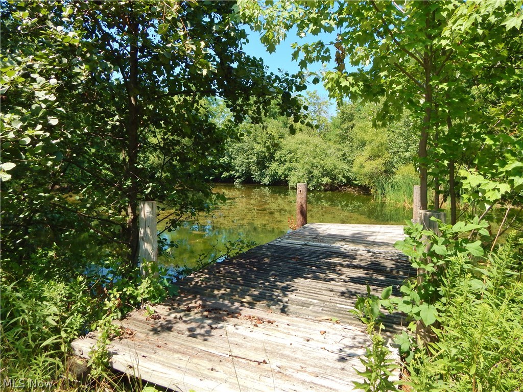 19408 Boston Road Strongsville, OH 44149 - Photo 27 of 30 Pond