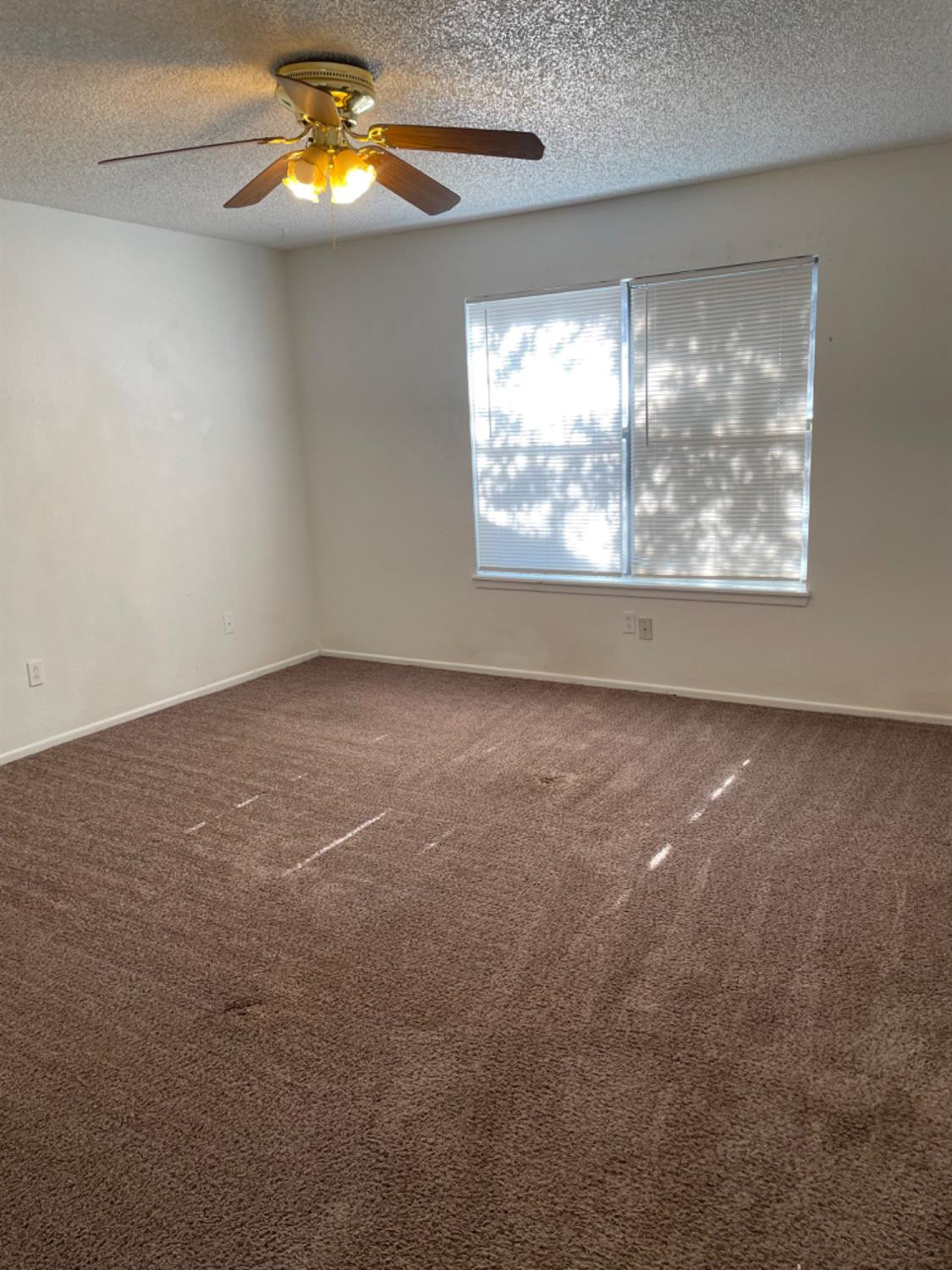 1103 80th Street, Unit A Lubbock, TX 79423 - Photo 7 of 11 en empty room with windows and entrance